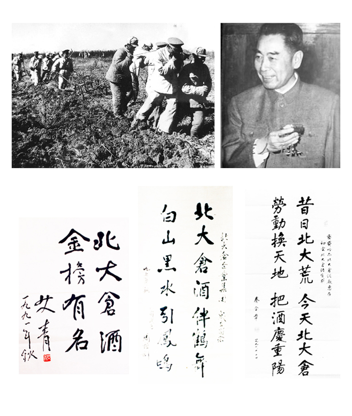 1615812500617845.jpg 9.jpg